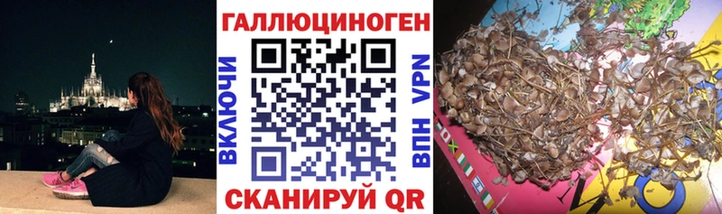 Галлюциногенные грибы прущие грибы  Купить  Щёкино 